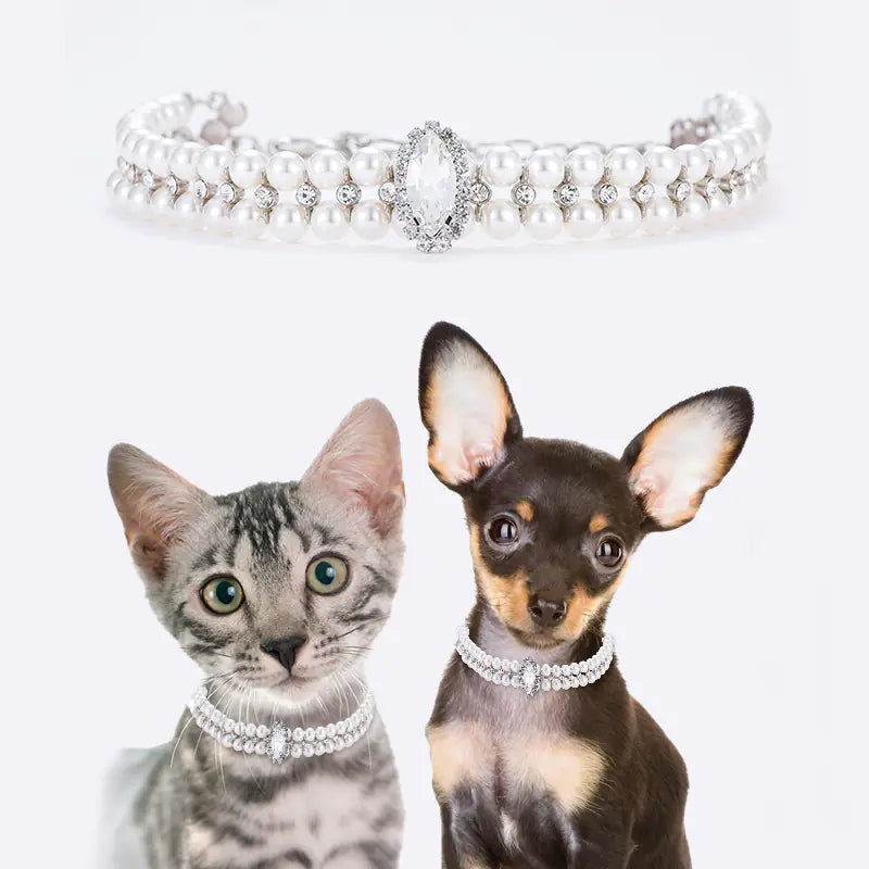 Hand-Holding Rope Collar for Small Dogs